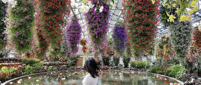 A woman gazes at a large indoor garden with cascading flowers in vibrant colors, including delicate cherry blossoms, hanging from the ceiling. A reflective pond surrounded by lush plants completes this serene scene inspired by the beauty of Japan.