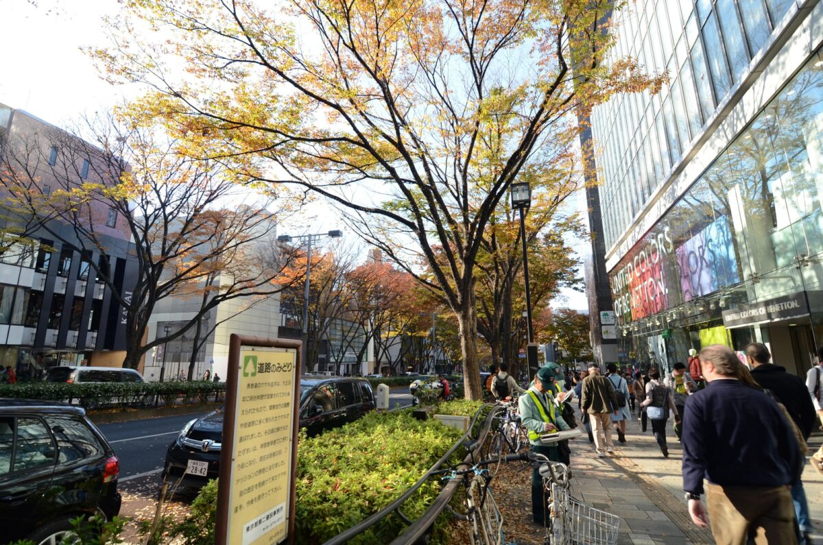 A bustling street scene with pedestrians walking along a sidewalk lined with yellow Ginko trees. Cars are parked on the street, and storefronts featuring Japanese brands and outlets for clothes shopping line the buildings on the right side.