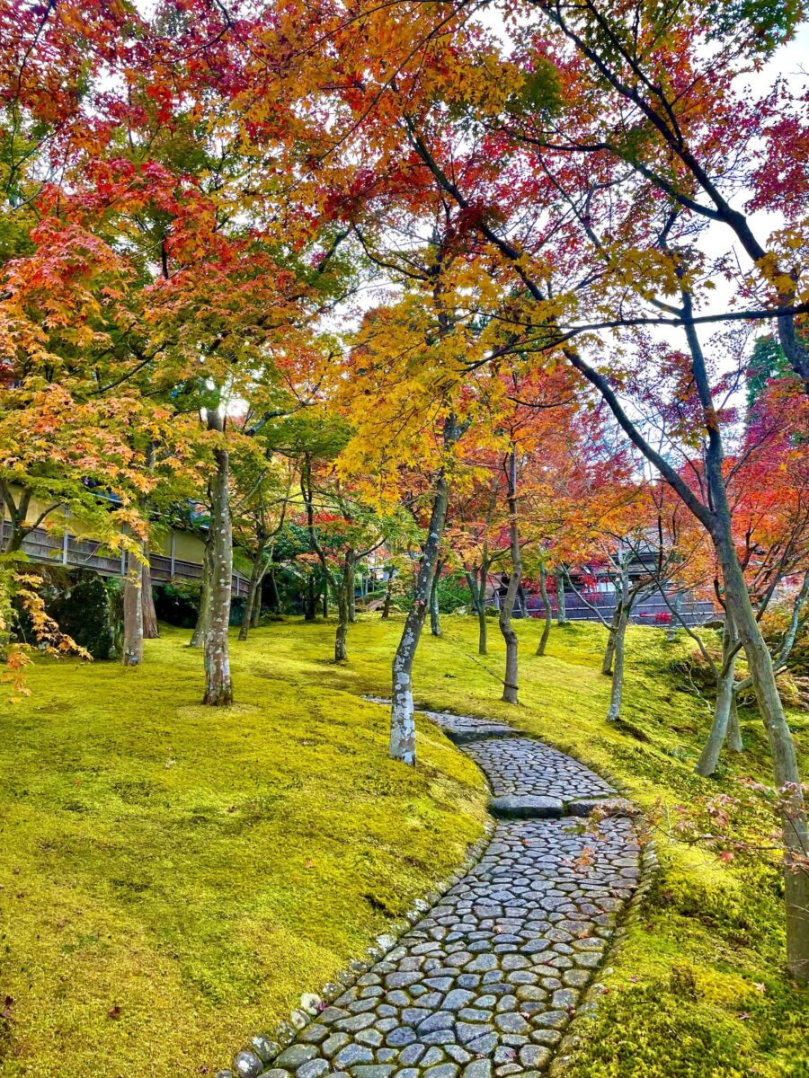 A stone path winds through a garden with trees displaying vibrant autumn colors.